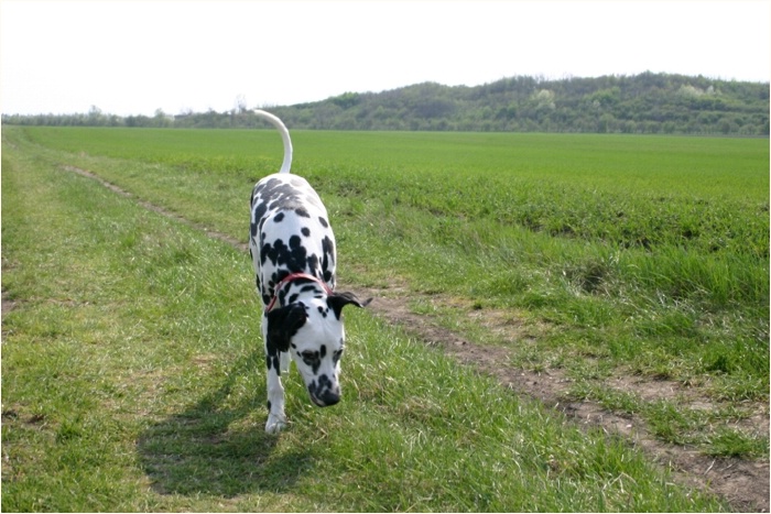 <b>das war knapp, ich hab' schon gedacht, ich mu� ewig singen...<b>